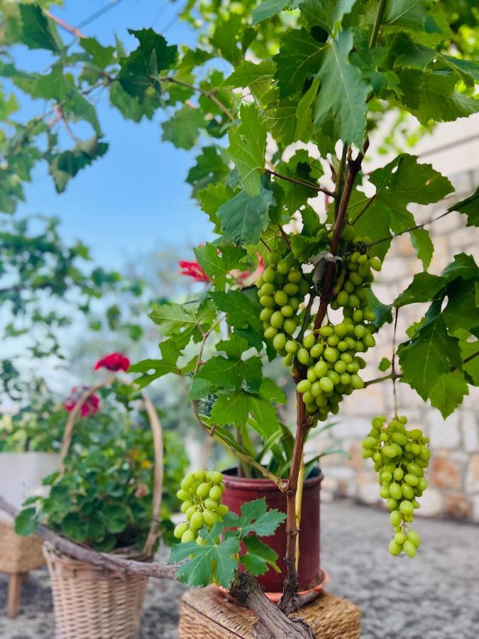 Tzavelitiko Home Himare Bagian luar foto